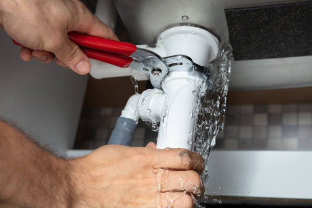 Best Mold removal after water damage  in Saxon, SC
