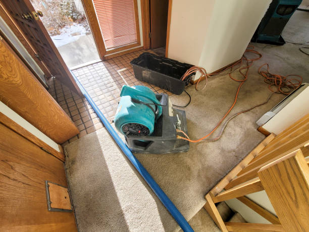 Best Water damage cleanup near me  in Saxon, SC