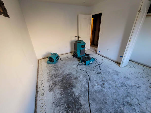 Best Professional water damage repair  in Saxon, SC