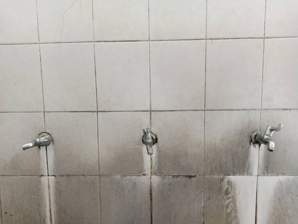 Best Fire Damage Restoration  in Saxon, SC