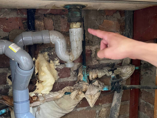 Best Water damage cleanup near me  in Saxon, SC