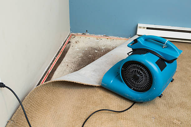 Best Water damage contractors near me  in Saxon, SC
